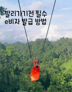 발리여행 E비자발급방법