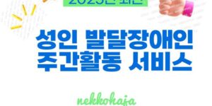 2025년 성인 발달장애인 주간활동 서비스에 관한 설명입니다.